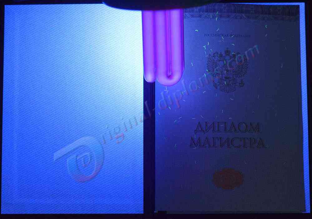 Диплом магистра 2014-2026