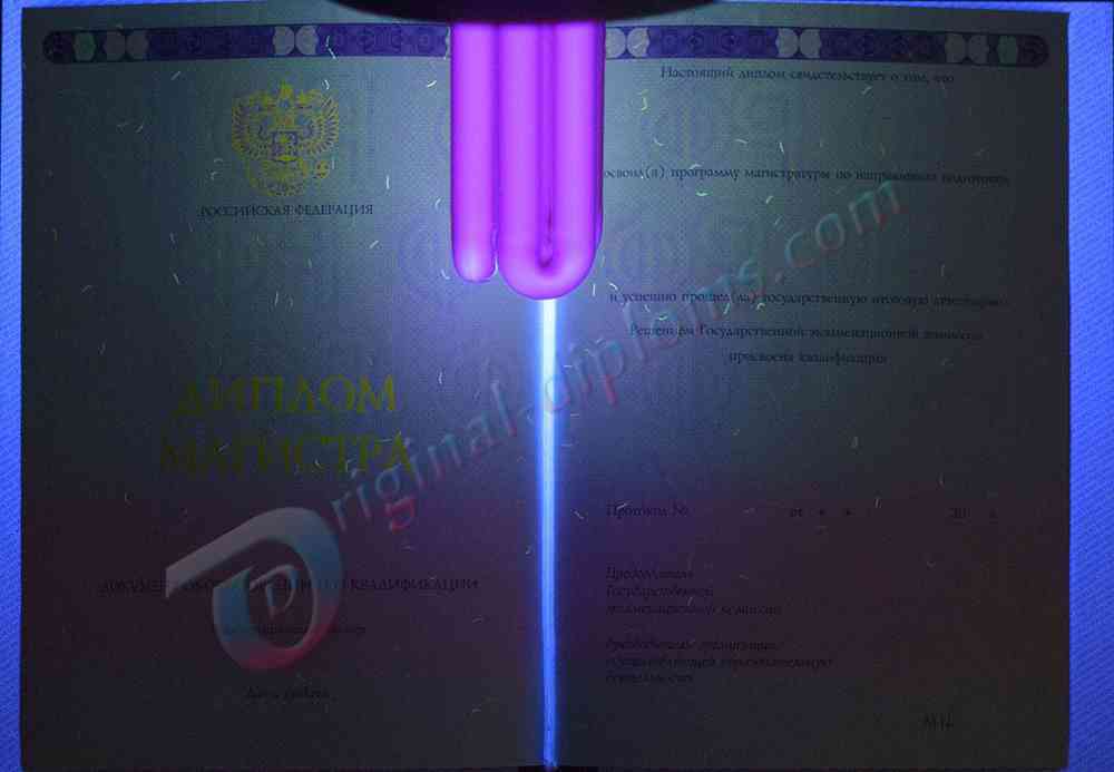 Диплом магистра 2014-2026